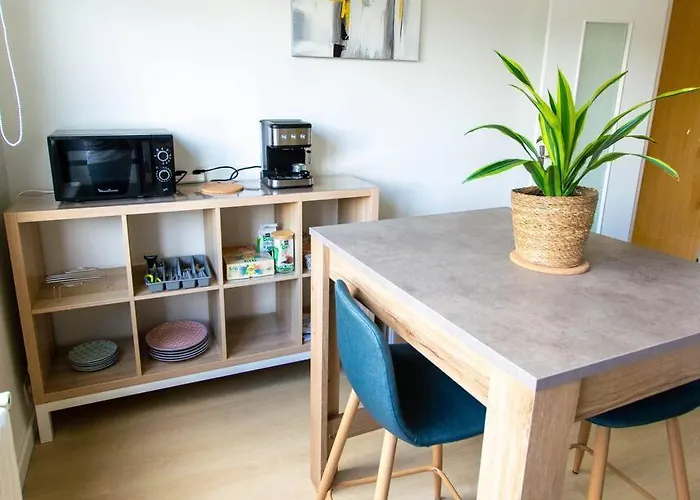 Apartment T1 Bis Hopital/centre De *